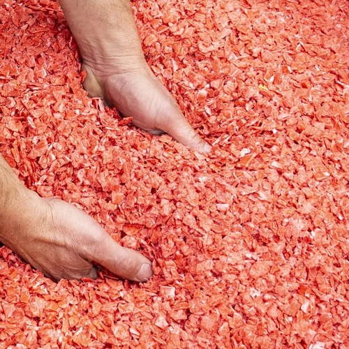 Imagen de unas manos cogiendo granza de color rojo